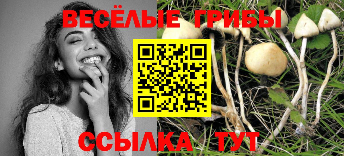 Галлюциногенные грибы мухоморы Артёмовский