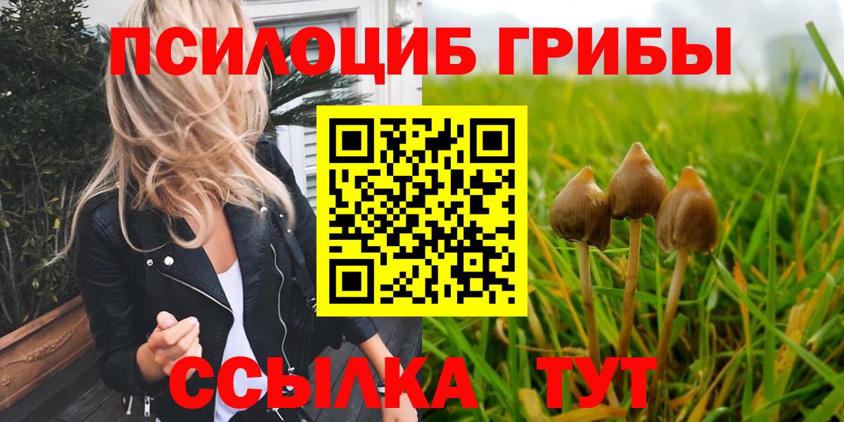 Псилоцибиновые грибы Cubensis  Вход с VPN  Артёмовский  Галлюциногенные грибы MAGIC MUSHROOMS 