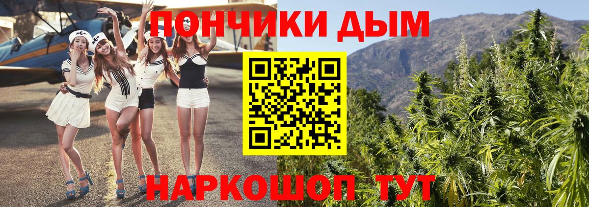 Шишки марихуана конопля Артёмовский